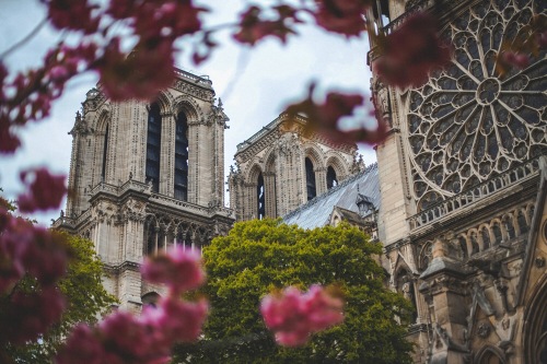巴黎圣母院